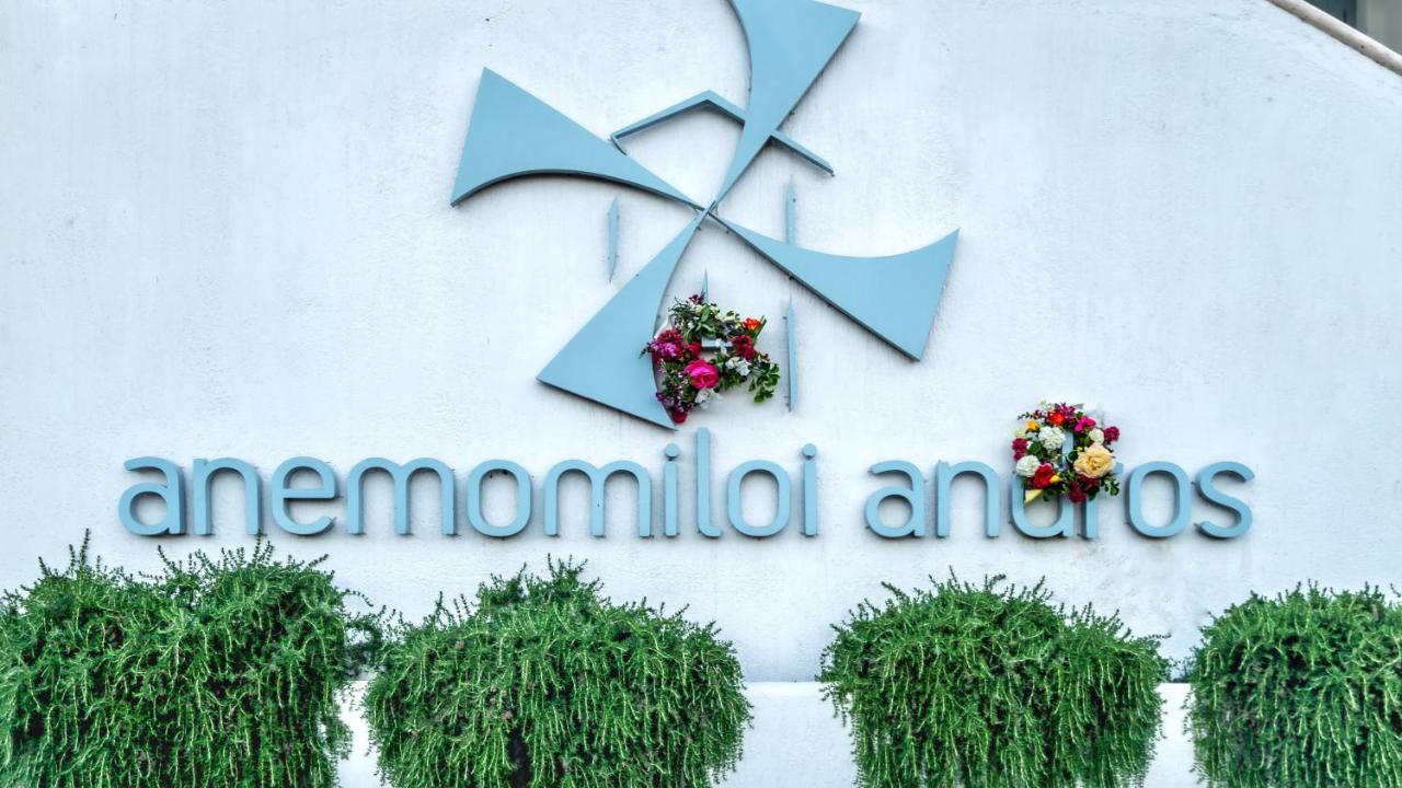 Hotel Anemomiloi Andros Exteriér fotografie